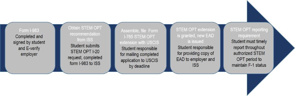 STEM Timeline